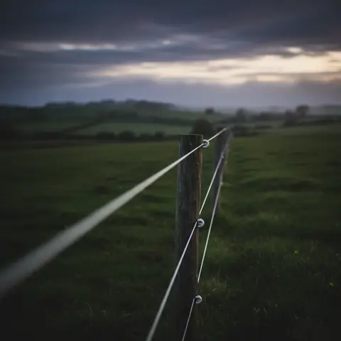 Electric Fence