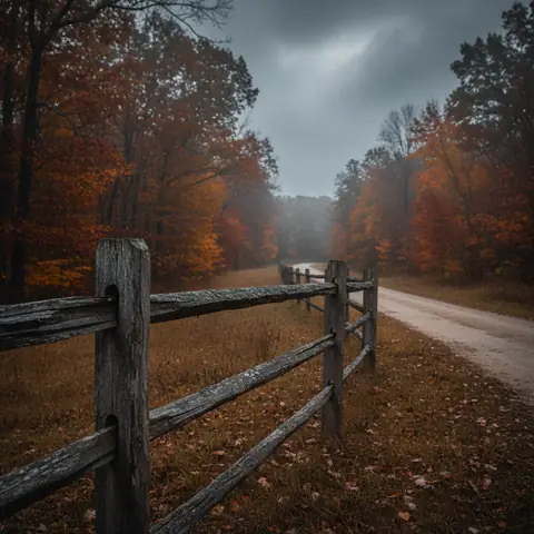 Split Rail